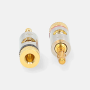 Nedis Banankontakt Guldpläterad 7,0 mm 2-pack