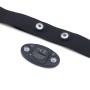 Pulsband