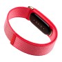 Google Fitbit Air, Berry, EU