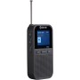 Radio FM DAB+ Fick-format Laddbart batteri DAH-126 Svart