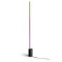 Gradient Signe Golvlampa White and Color Ambiance Svart