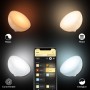 Philips Hue Go Color Laddningsbar lampa