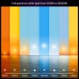 White and Color Ambiance E27 810lm 2-pack