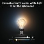 White Ambiance Filament E27 A60 40W