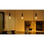 Lightguide Globe 95mm E27 White and Color Ambiance
